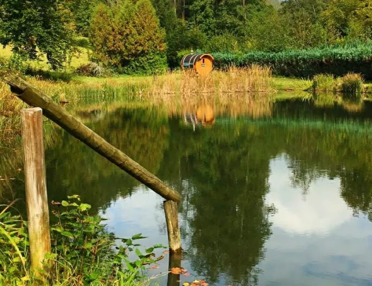 Mobile Fasssauna spiegelt sich im Teich